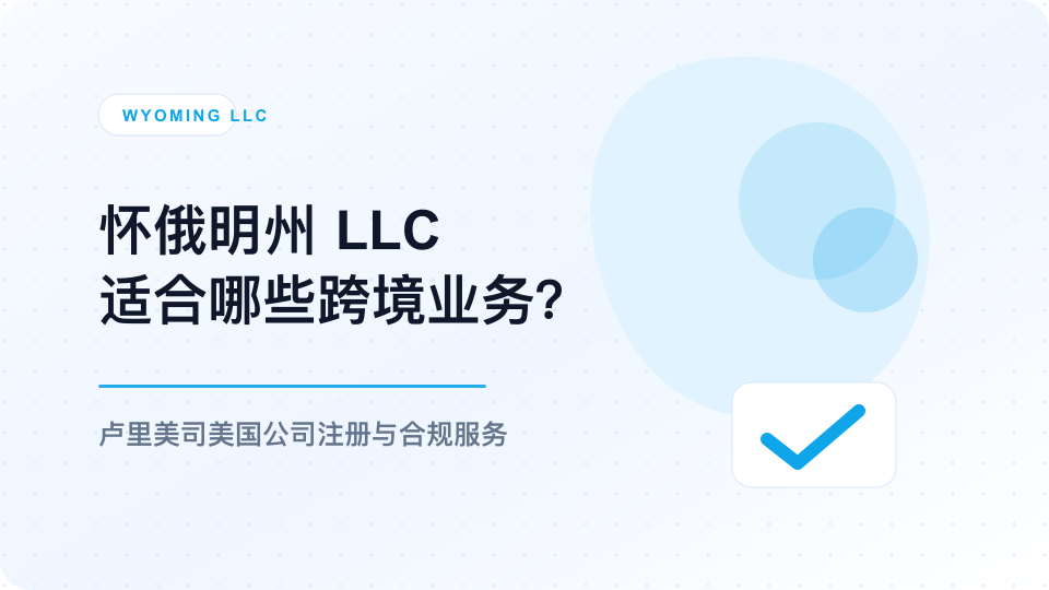 怀俄明州 LLC 适合哪些跨境业务？